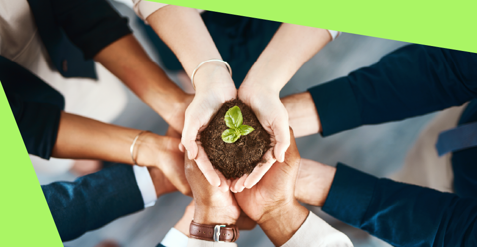Environmental Industry Report